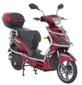  MONDİAL E-MON DUO-BİKE 250W YEDEK PARÇA