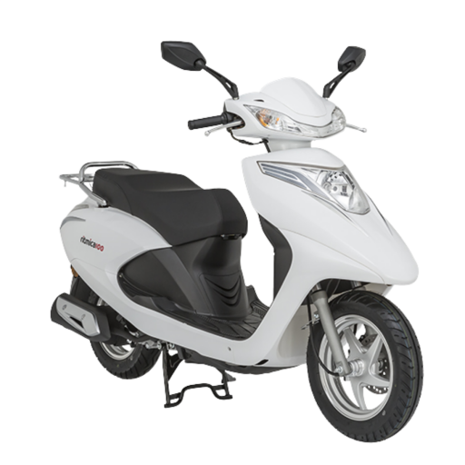  MONDİAL RİTMİCA 100 YEDEK PARÇA