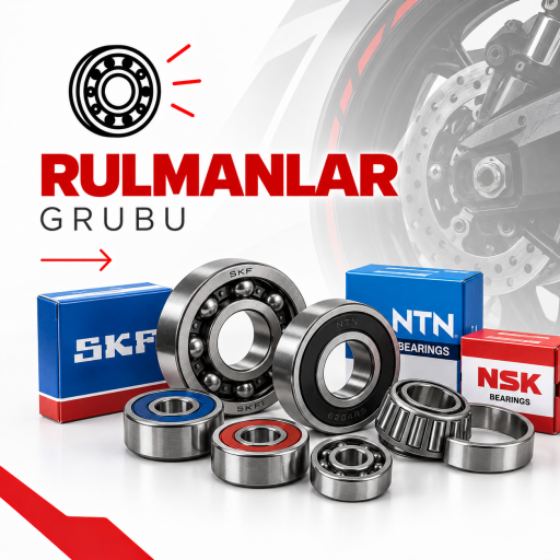 RULMANLAR