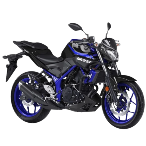 YAMAHA MT-25 YEDEK PARÇA