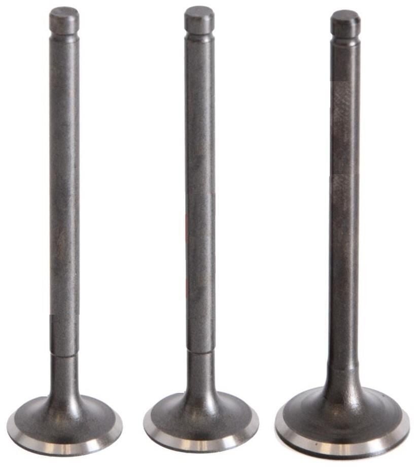 LF100 LİFAN 3 SUBAPLI SUBAP TAKIMI 3 LÜ SET