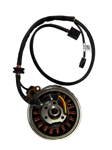 TVS RAIDER 125 ALTERNATÖR KOMPLE