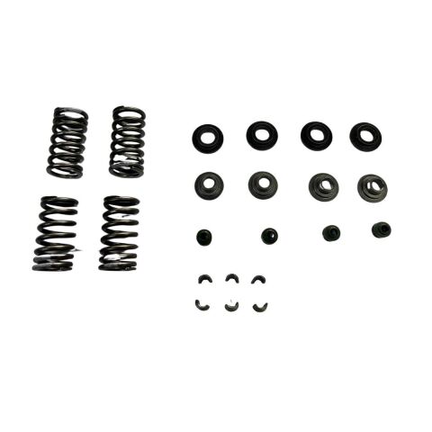 BAJAJ DOMİNAR 400 EMME EGZOZ SUBAP YAY SETİ