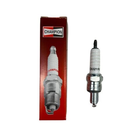 CUP BUJİ ŞAMPİYON  808-Z9Y