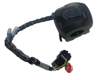 TVS RAIDER 125 (E5) SAĞ KUMANDA DÜĞMELERİ ORJİNAL