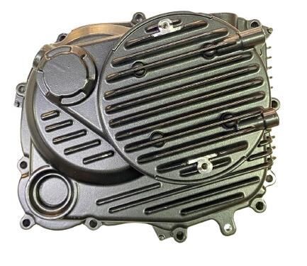 TVS RAIDER 125 (E5) KRANK KUTUSU SAĞ KAPAK  ORJİNAL