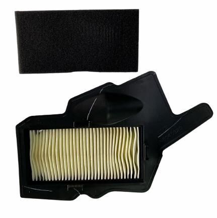 TVS RAIDER 125 (E5) KAĞIT HAVA FİLTRESİ  ORJİNAL