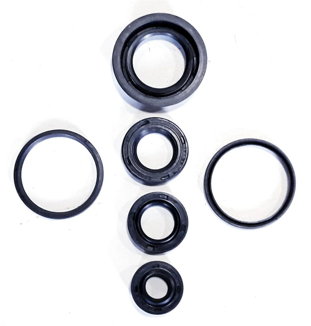 TVS PEP 75-90 KEÇE TAKIMI SETİ 6 LI