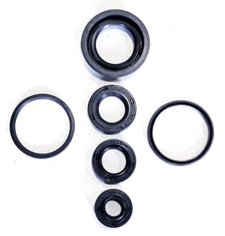 TVS PEP 75-90 KEÇE TAKIMI SETİ 6 LI