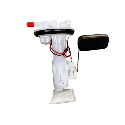 STMAX LİNDY50 BENZİN POMPASI 2019 ESKİ MODEL