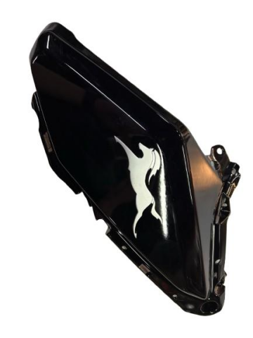 TVS RAIDER 125 SOL BENZİN DEPO ÖN KARENAJ (SİYAH) (ETİKET)