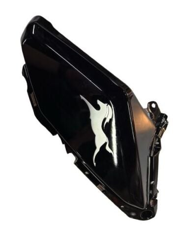 TVS RAIDER 125 SOL BENZİN DEPO ÖN KARENAJ (SİYAH) (ETİKET)